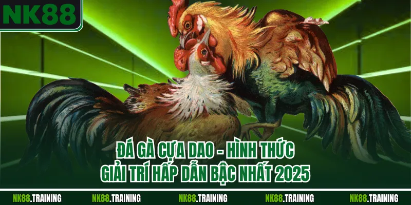 Đá Gà Cựa Dao – Hình Thức Giải Trí Hấp Dẫn Bậc Nhất 2025